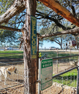 Spring Branch RV Park RV park in Spring Branch, TX (photo 4)