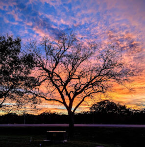 Spring Branch RV Park RV park in Spring Branch, TX (photo 2)
